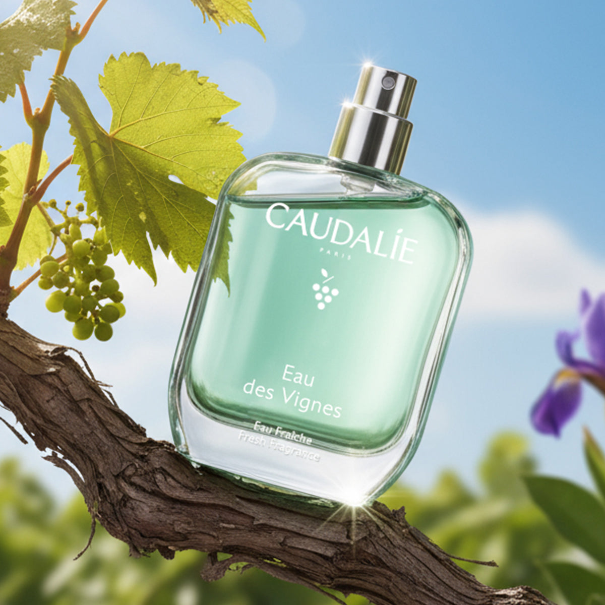Fresh Fragrance Eau des Vignes