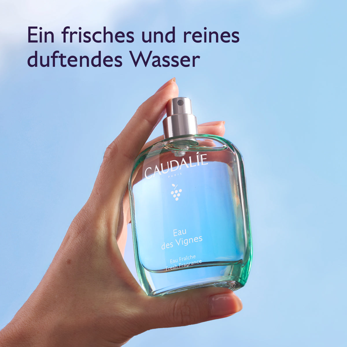Eau des Vignes Eau Fraîche