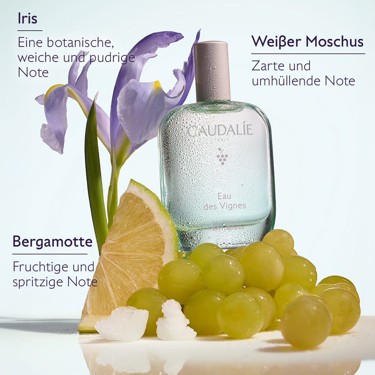 Eau des Vignes Eau Fraîche