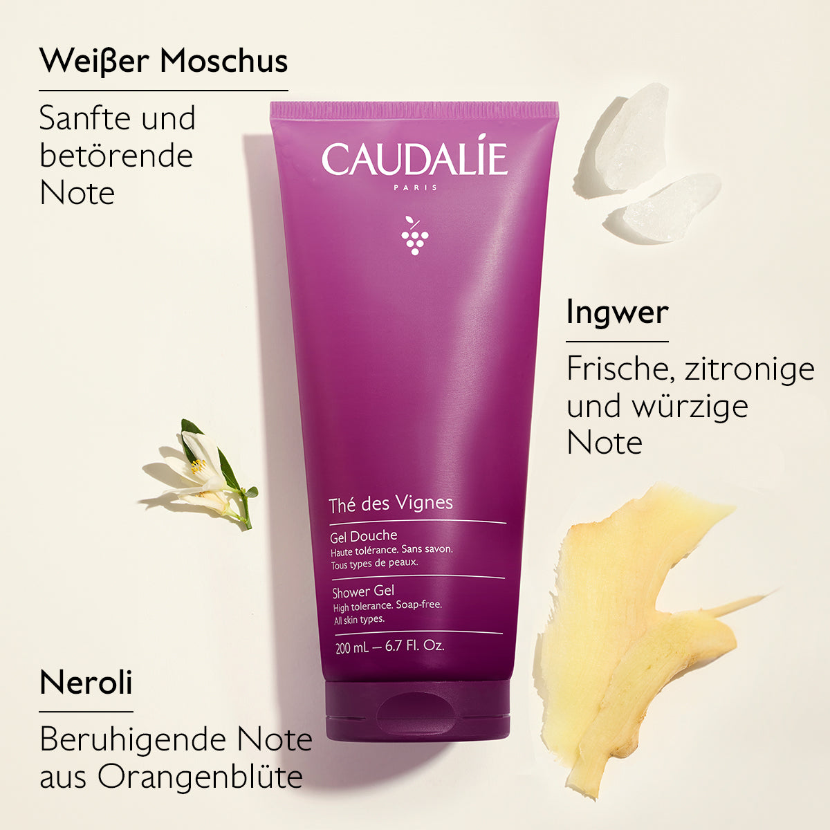 Thé des Vignes Body Care Ritual