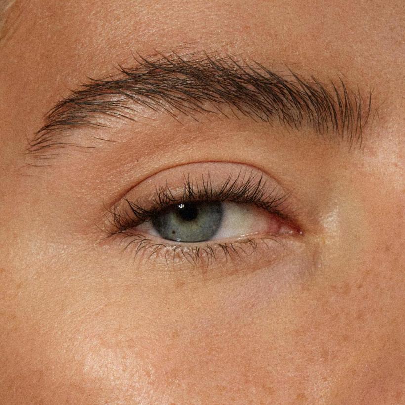 The Brow Pencil