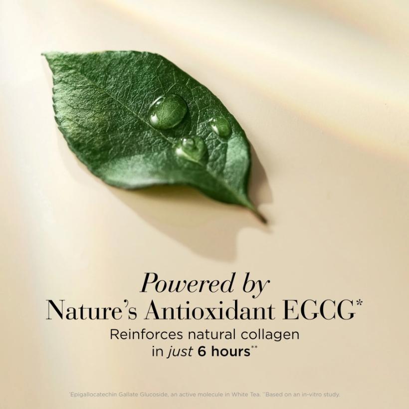 White Tea Fortifying Bi phase Oil Serum