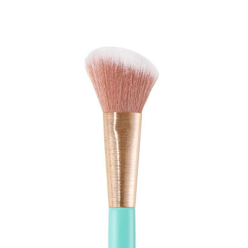 Angled Blush Brush
