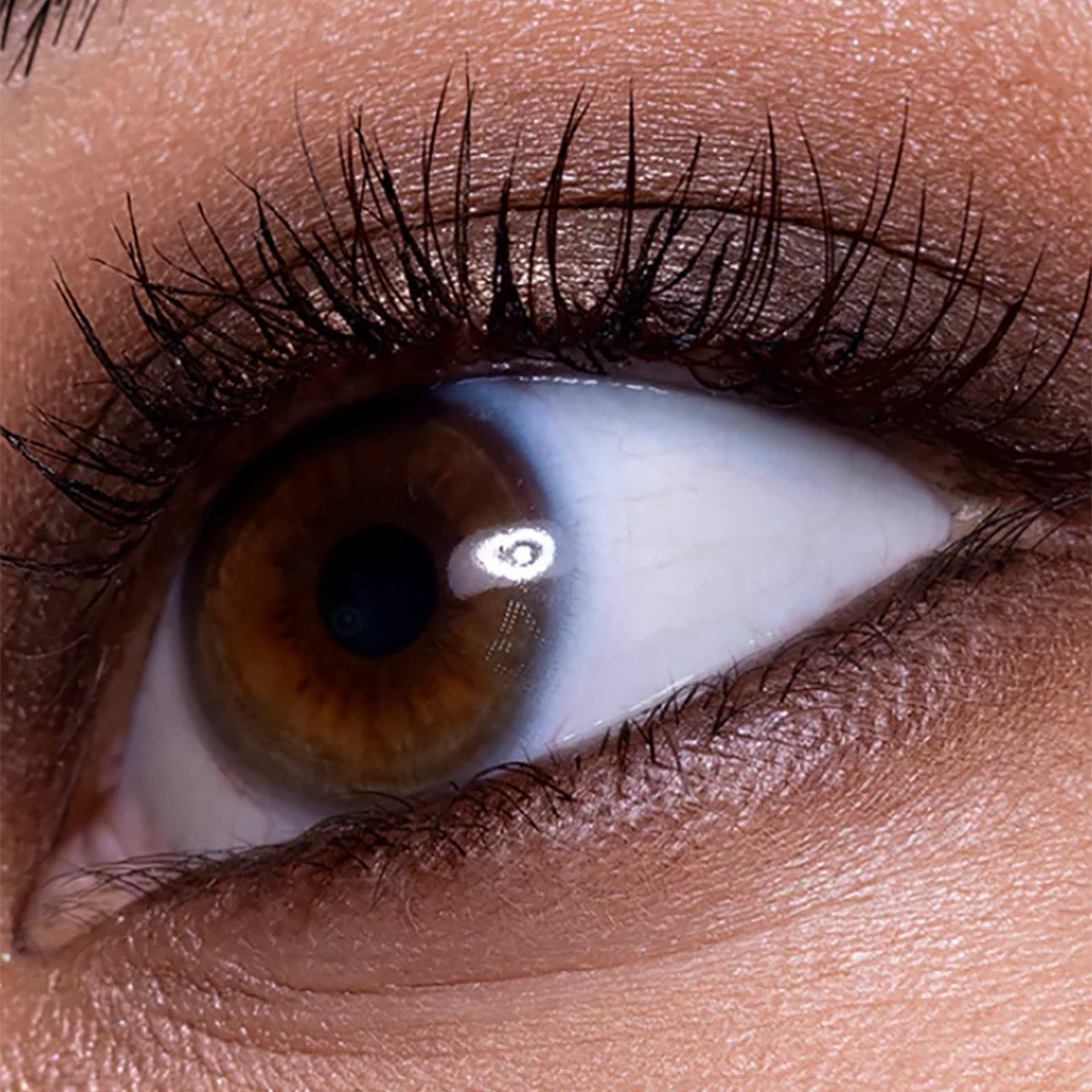 The Contour Eyeshadow Palette Collection