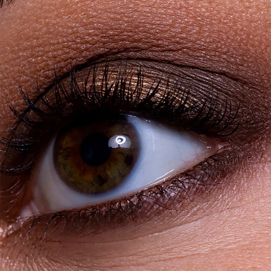 The Contour Eyeshadow Palette Collection