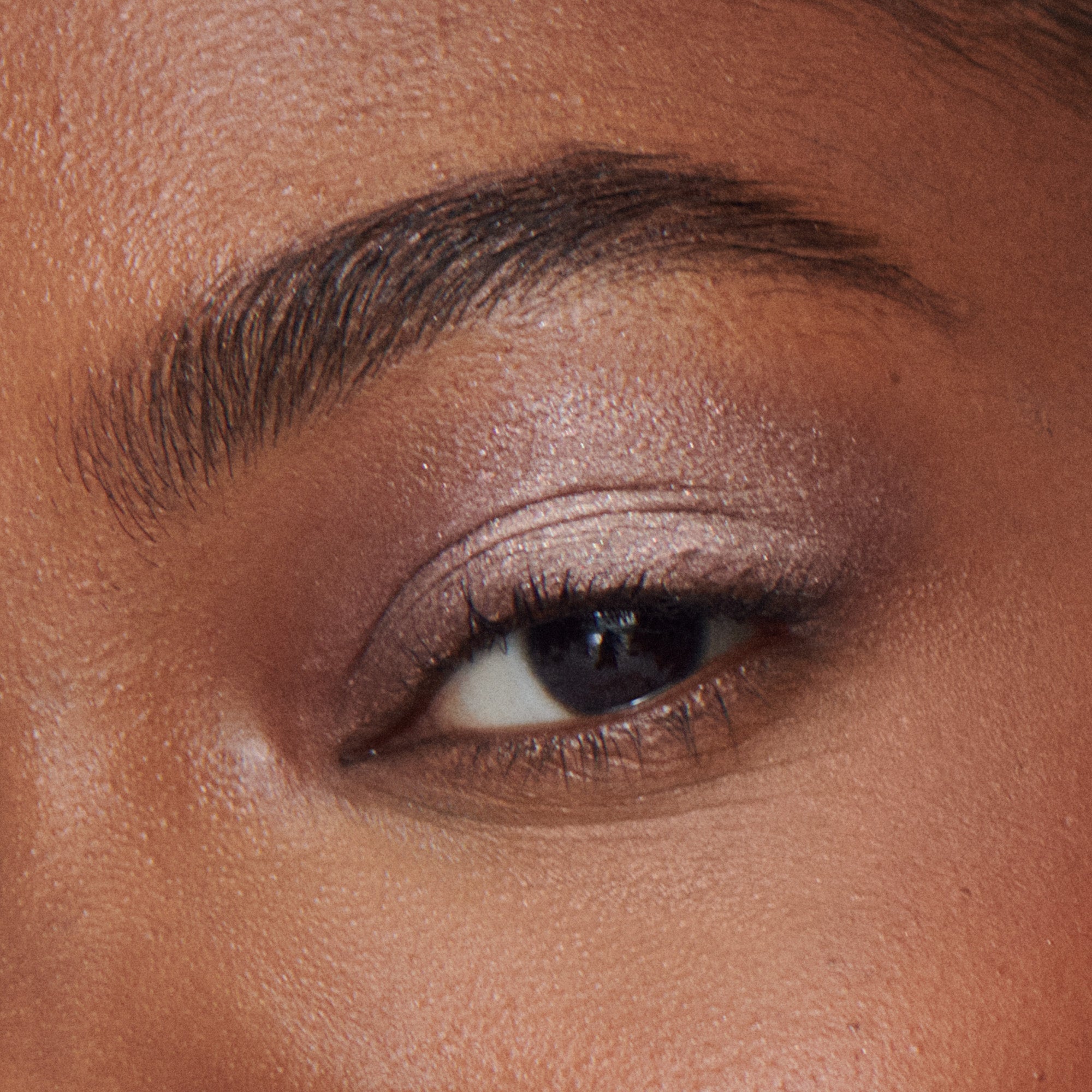 Liquid Powder Eye Tint