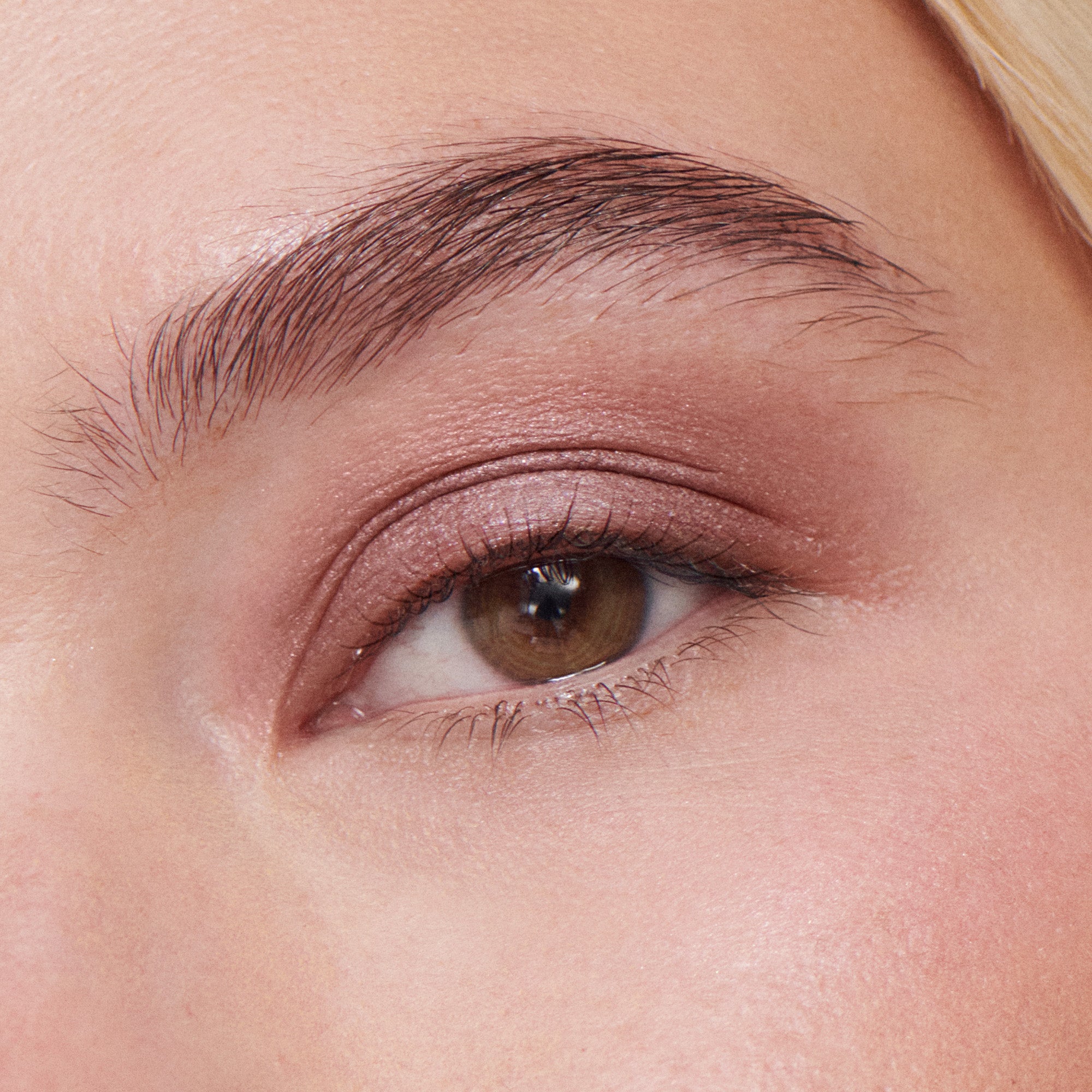 Liquid Powder Eye Tint