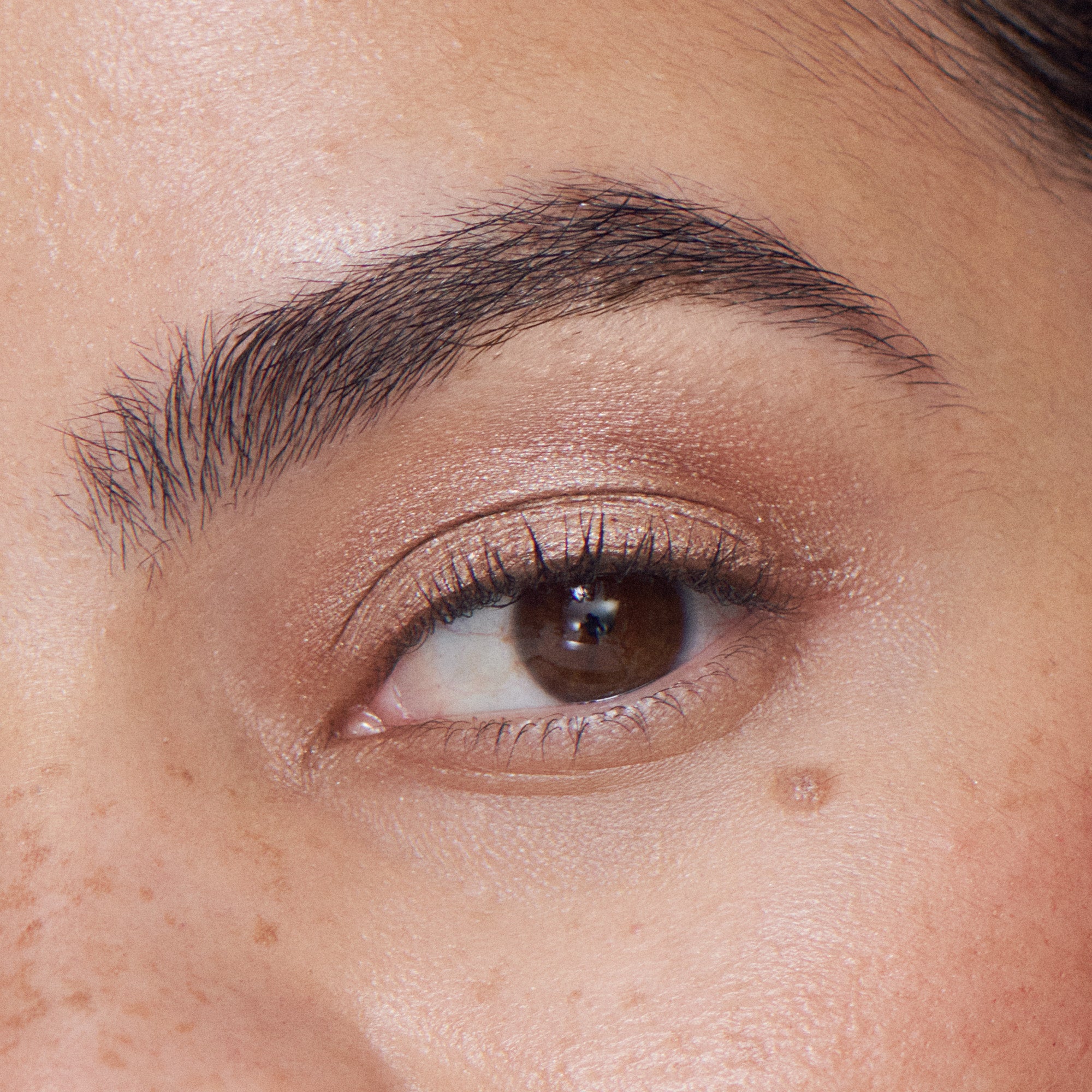 Liquid Powder Eye Tint