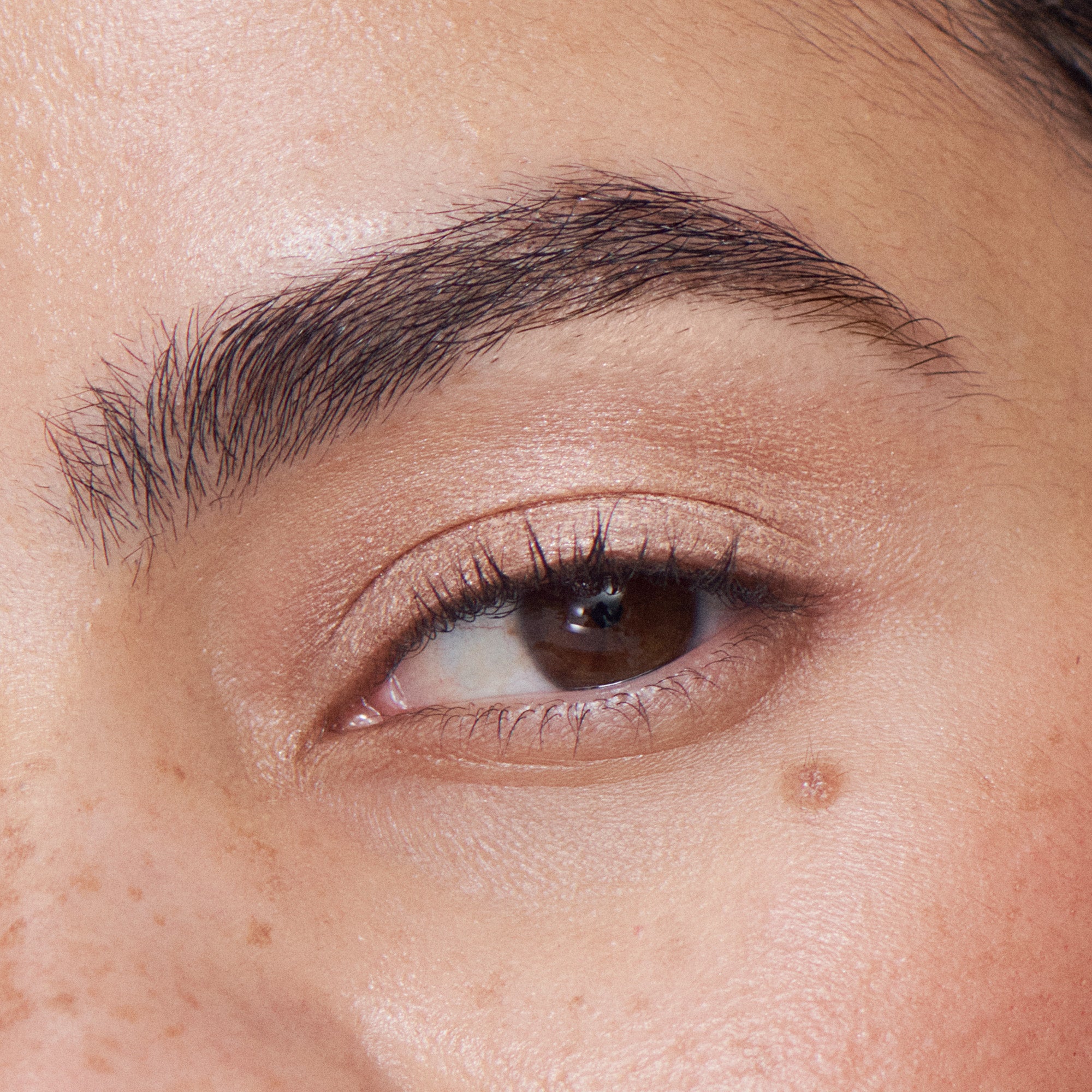 Liquid Powder Eye Tint