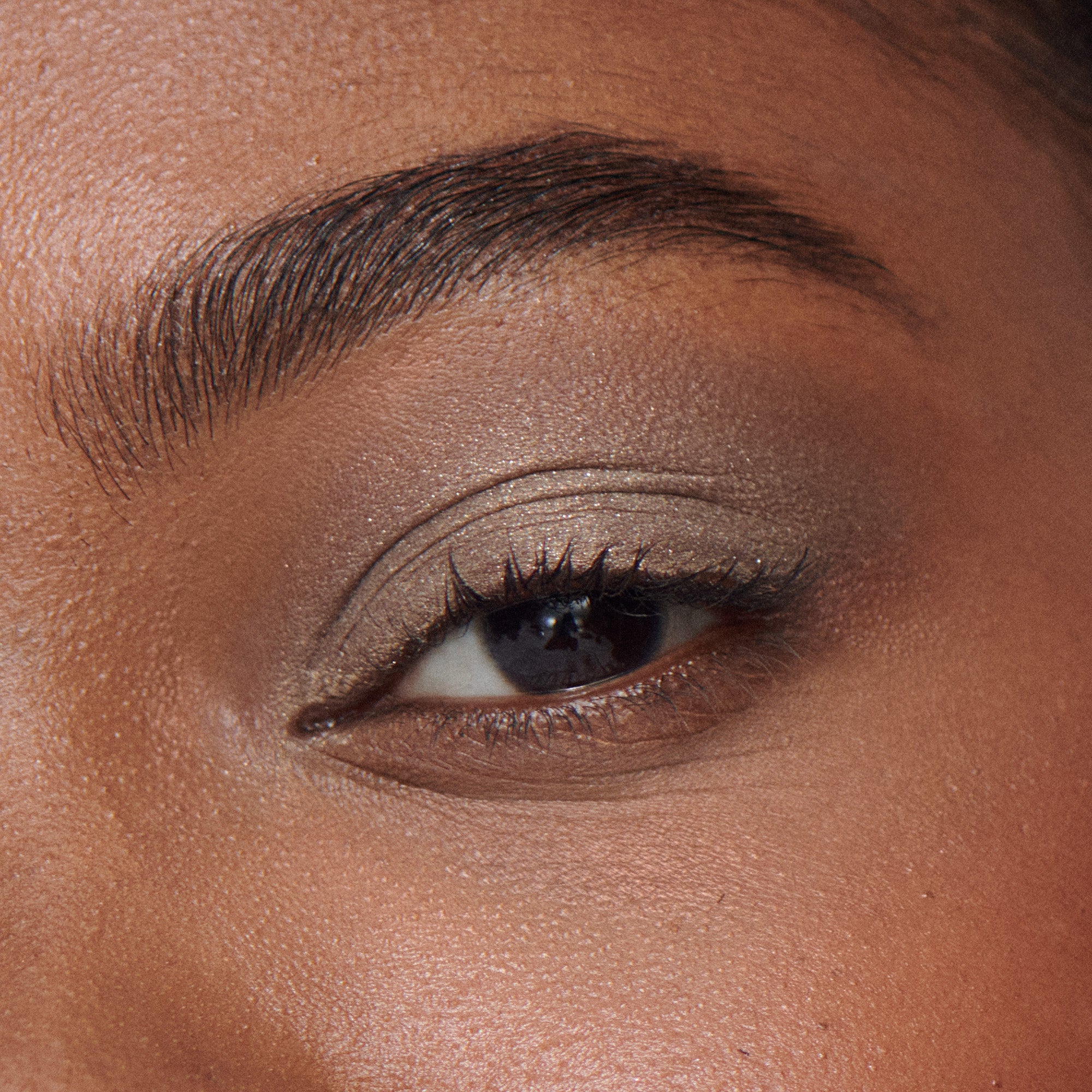 Liquid Powder Eye Tint