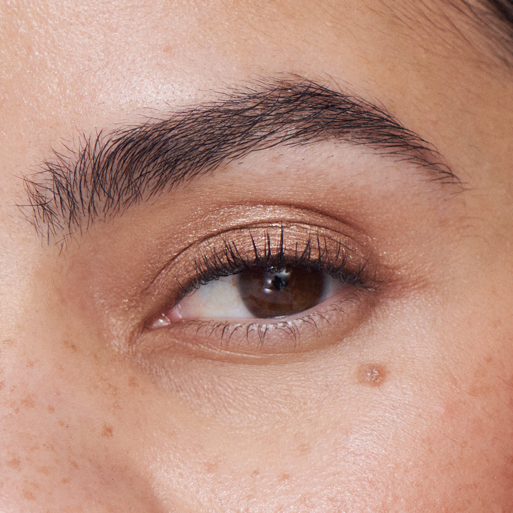 Liquid Powder Eye Tint