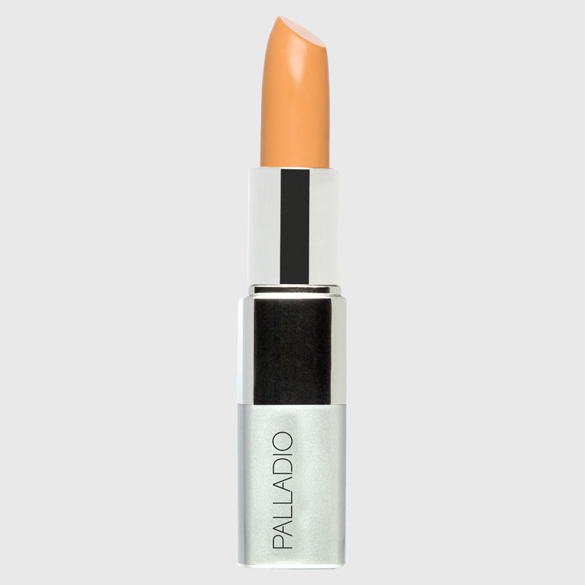 PALLADIO - STICK CONCEALER | IRRESS BEAUTY