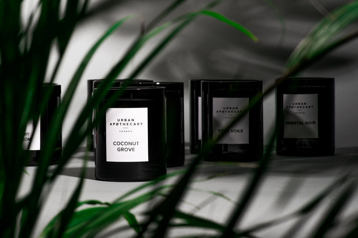 Coconut Grove Signature Candle, 300g