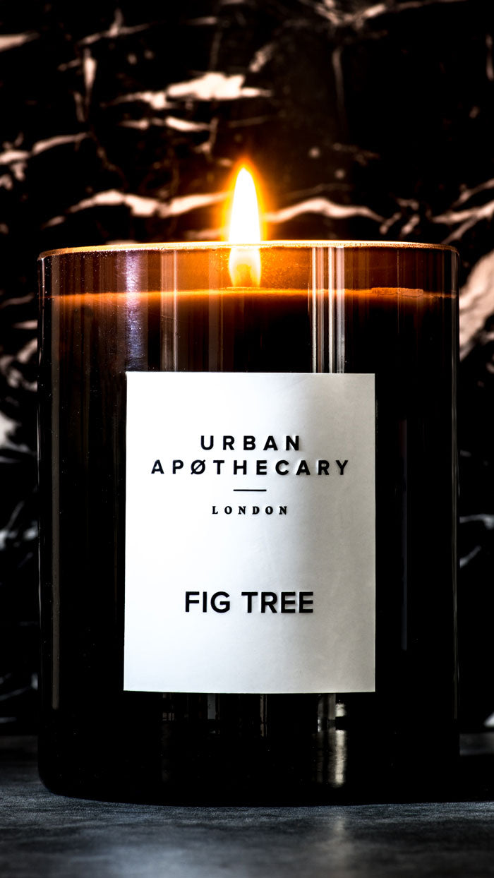 Fig Tree Signature Candle, 300g