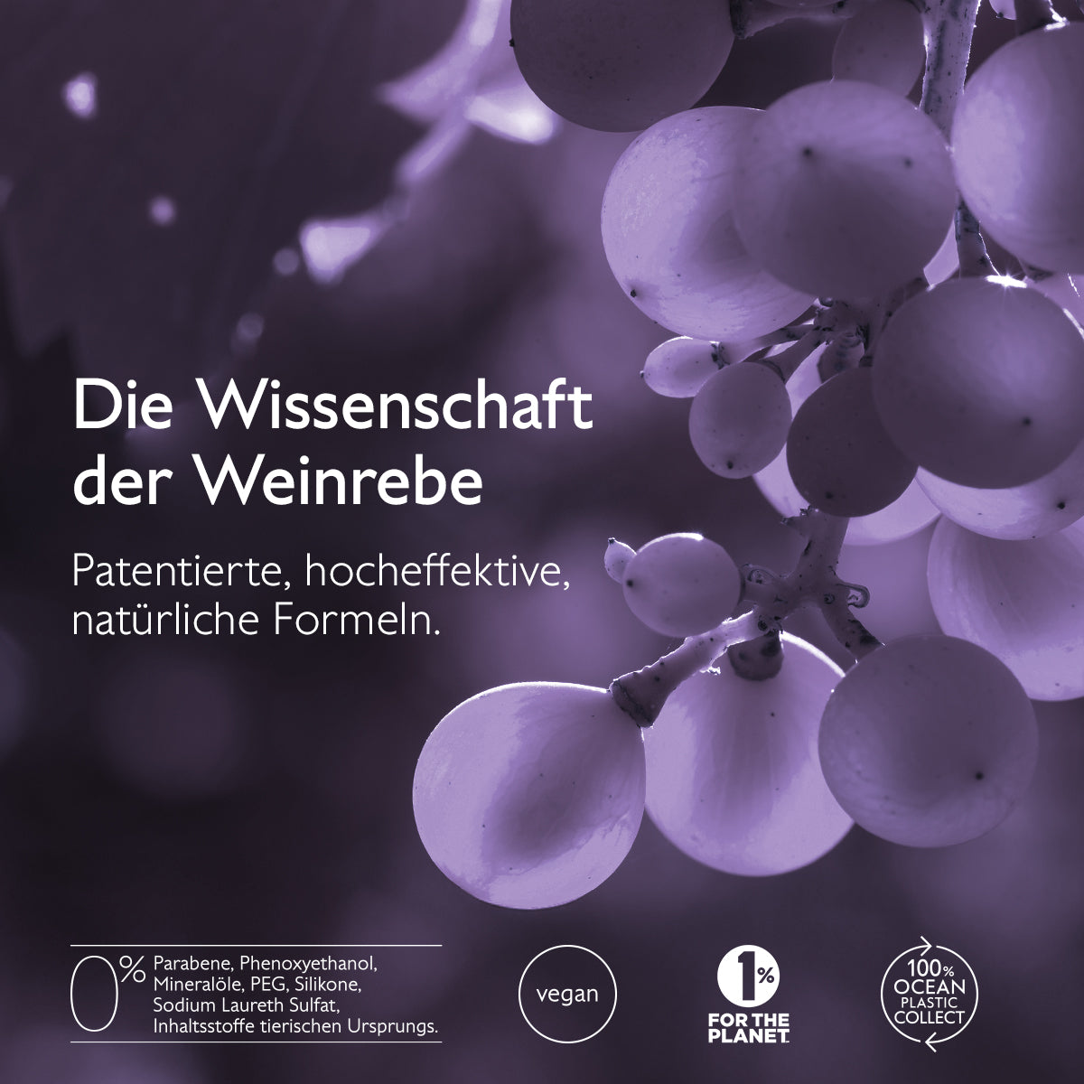 Haarpflege - Anti-Haarausfall-Haarserum