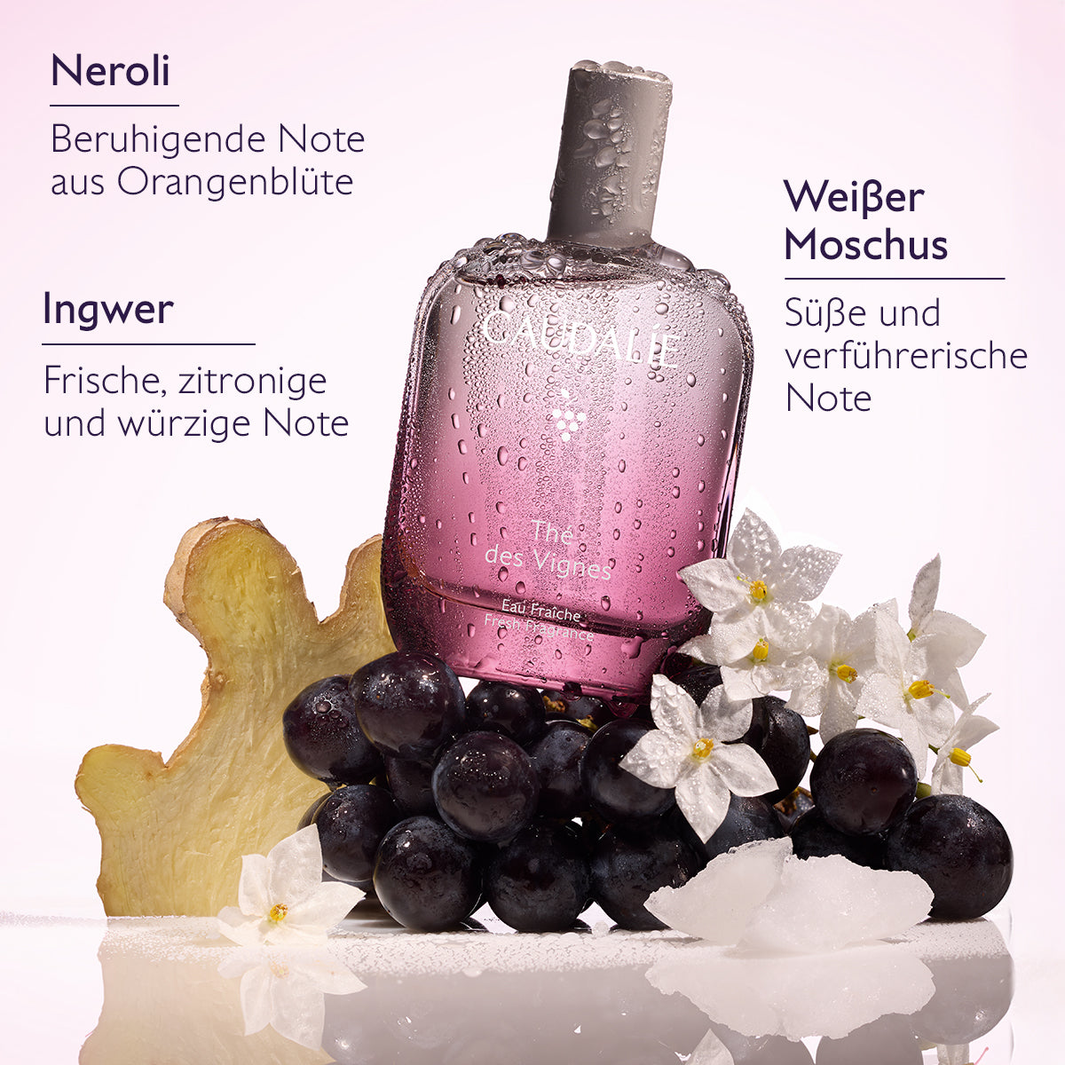 Thé des Vignes Fresh Fragrance Set 
