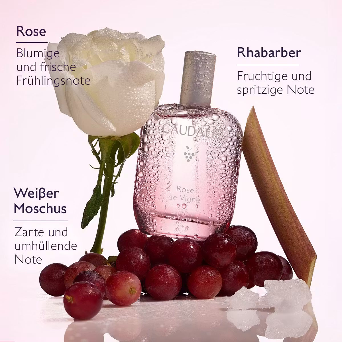 Eau Fraîche Rose de Vigne