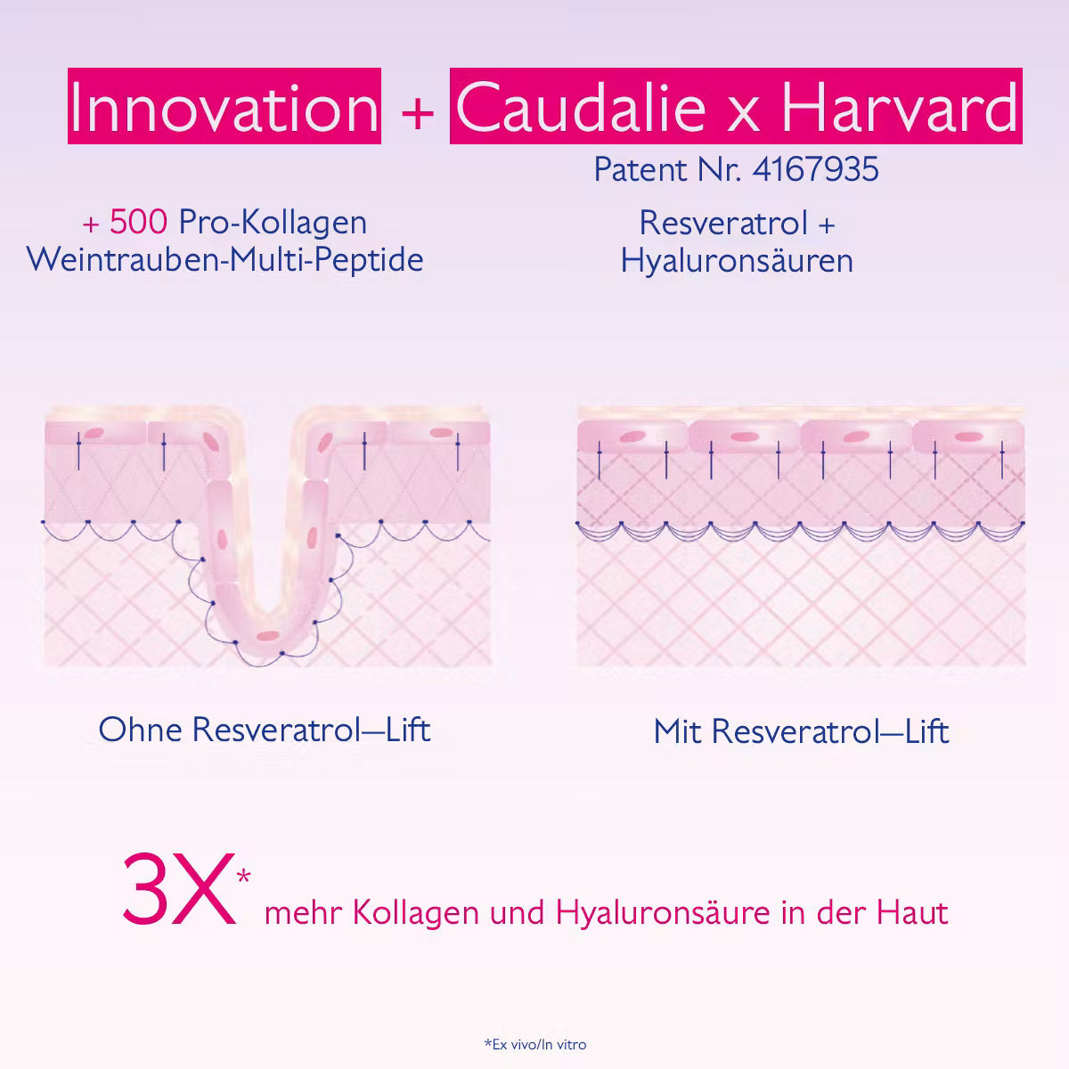 Resveratrol-Lift Lifting Augenpflege