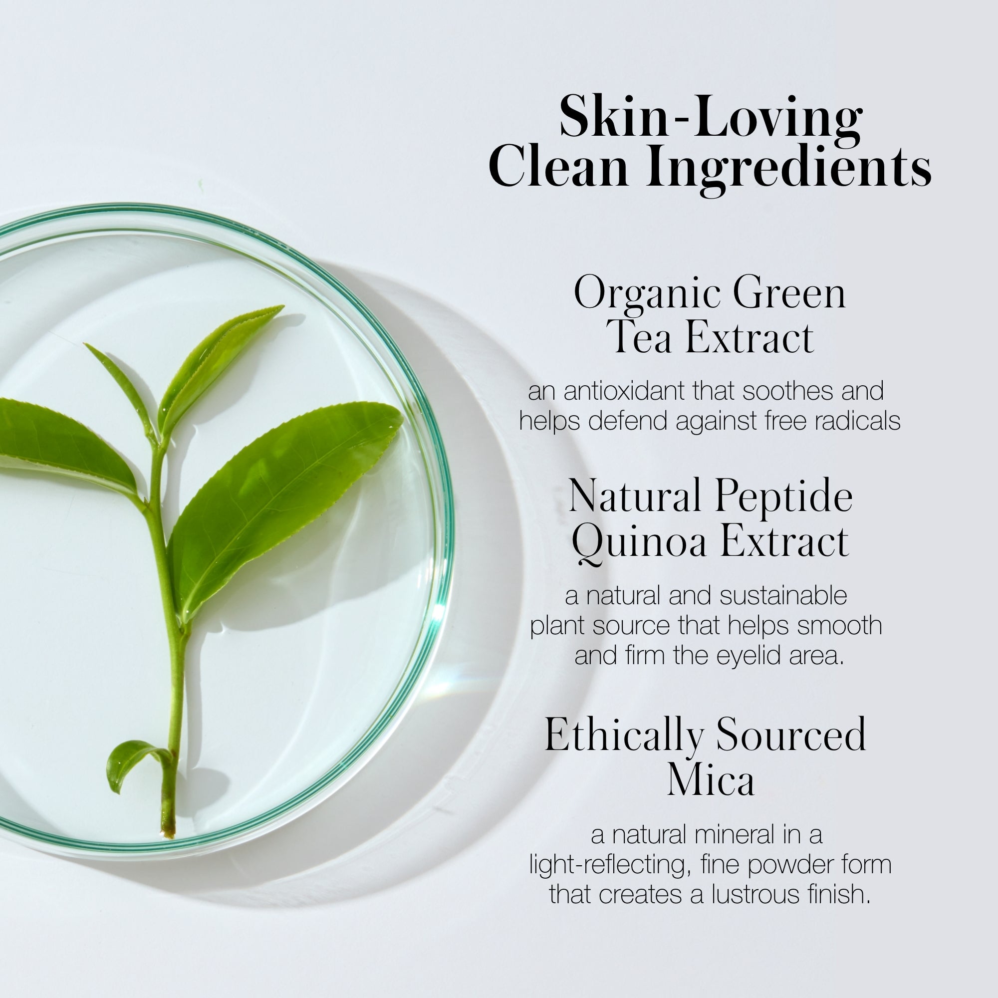 Eyelights Cream Eyeshadow