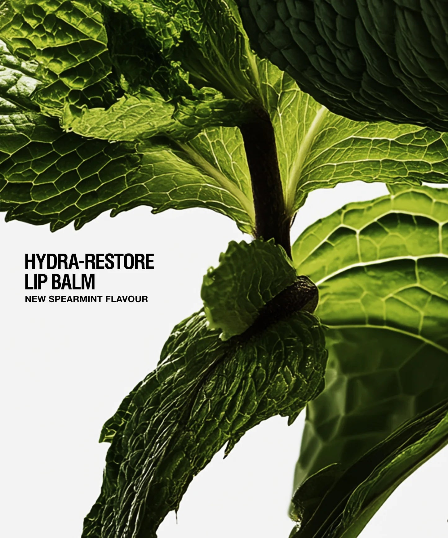 Hydra-Restore Lip Balm Spearmint - 12ml