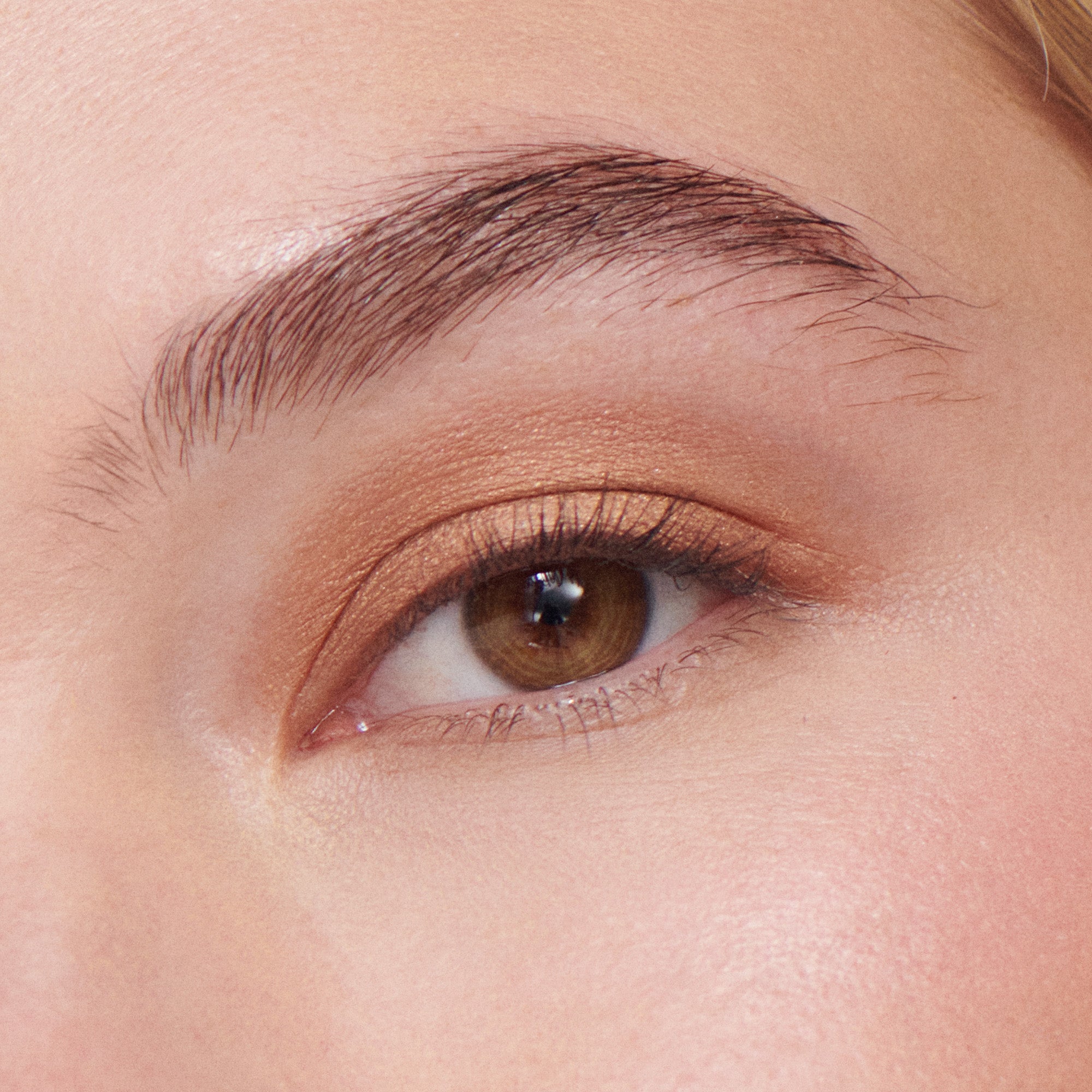 Liquid Powder Eye Tint