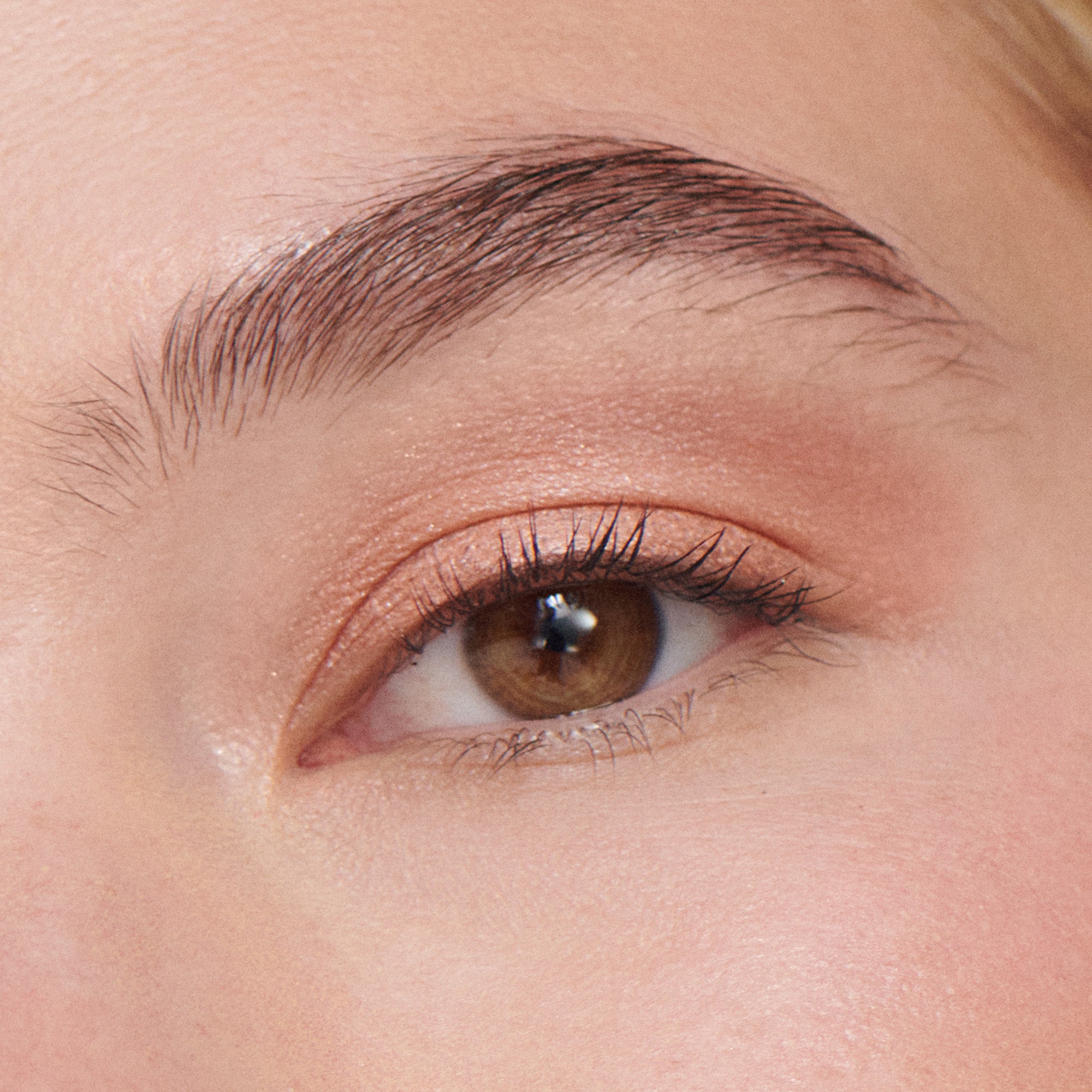 Liquid Powder Eye Tint